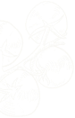 1b8b9c54 Desi Banner Obj01